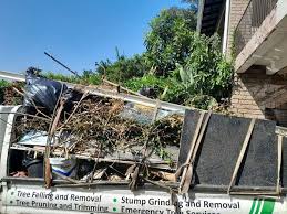 Best Moving and Downsizing Cleanouts  in Pecan Grove, TX
